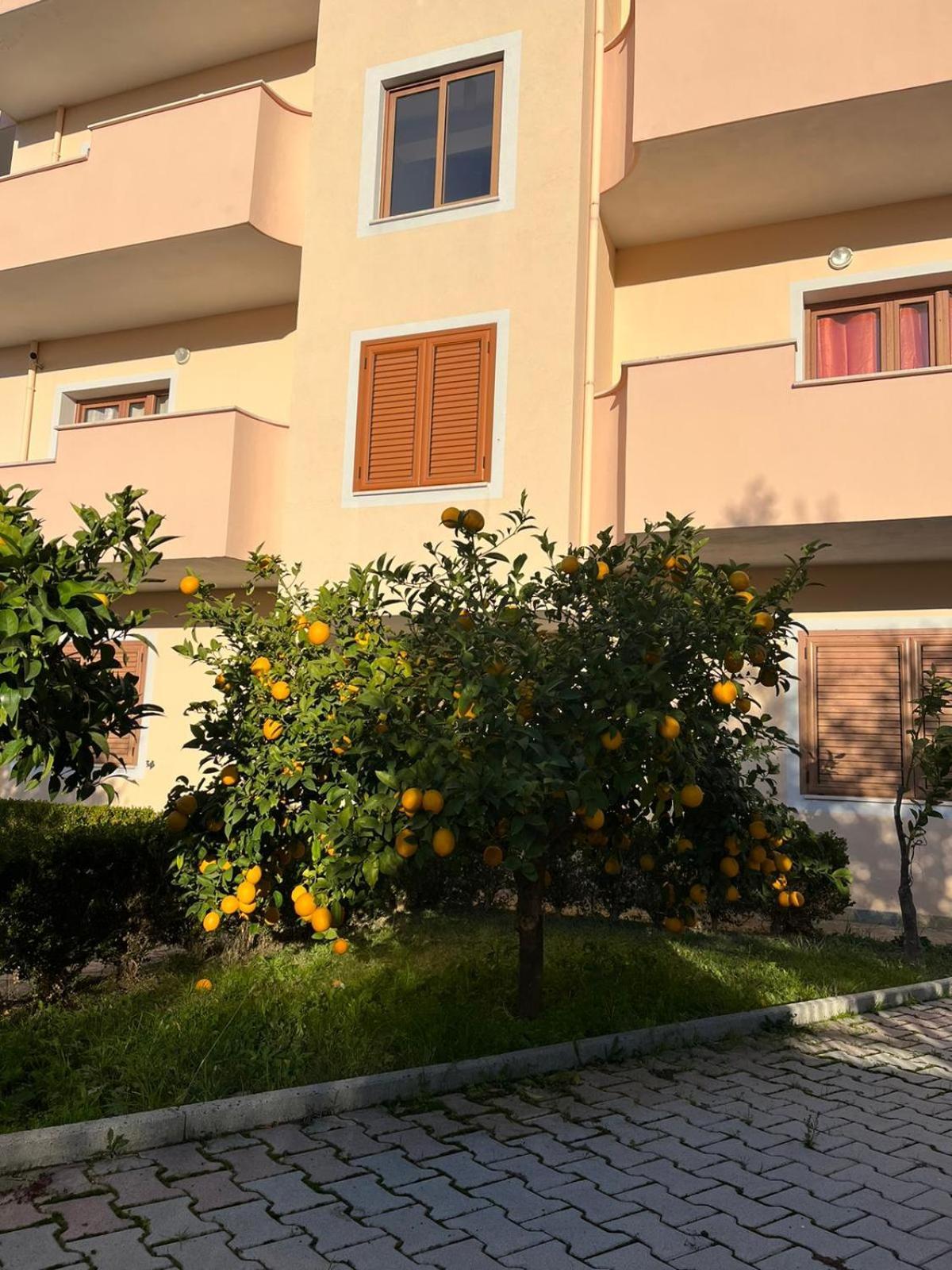 Villa Dei Limoni Škalngur Eksteriør billede