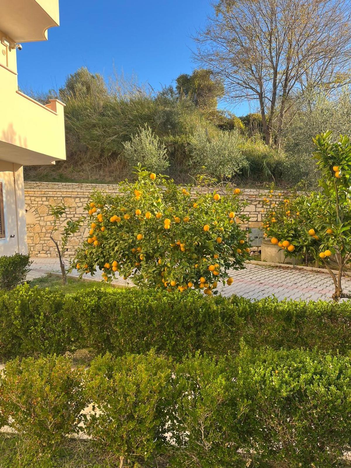 Villa Dei Limoni Škalngur Eksteriør billede