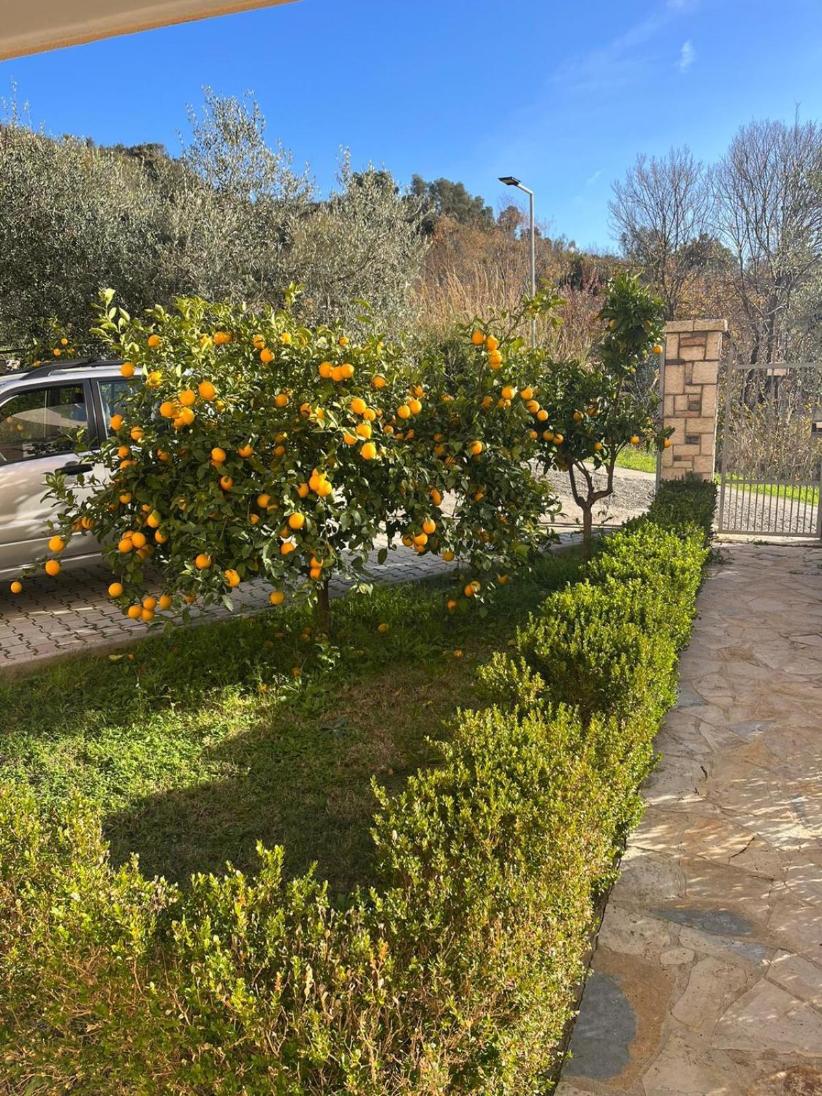 Villa Dei Limoni Škalngur Eksteriør billede