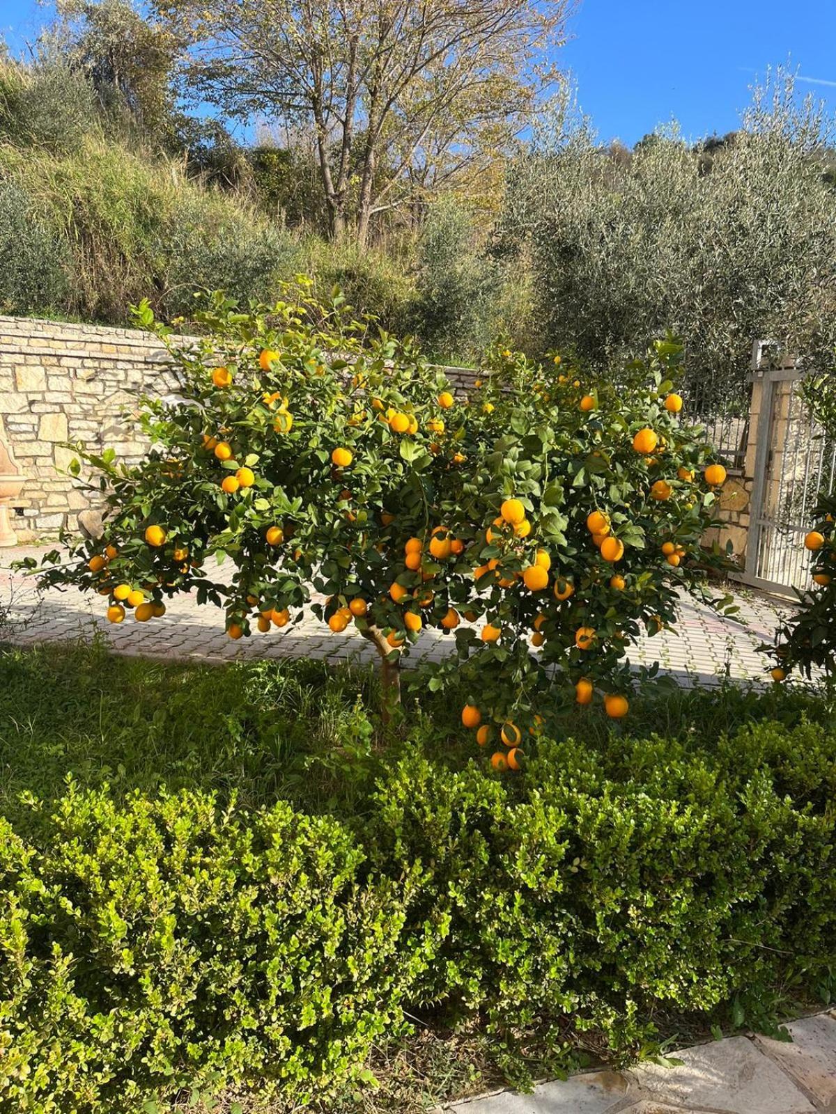 Villa Dei Limoni Škalngur Eksteriør billede